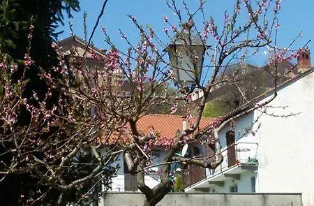 Pensjonat L'albero